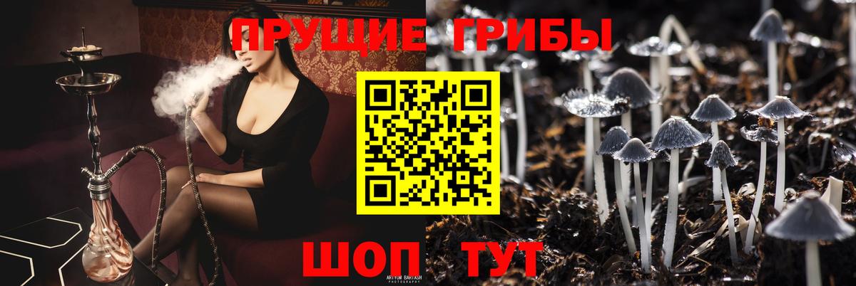 где найти   Вход с VPN  Уварово  Галлюциногенные грибы прущие грибы 